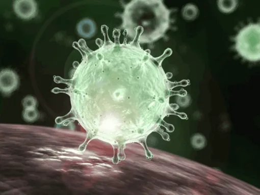 coronavirus