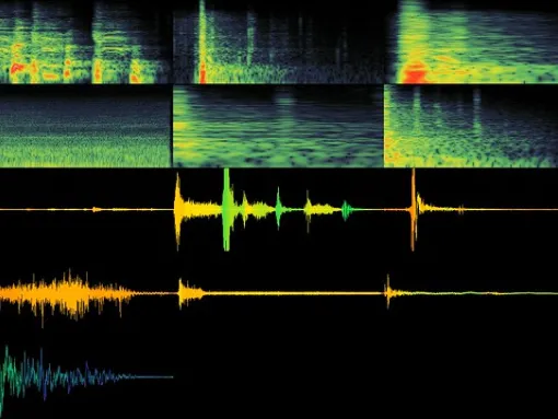 audio moderation 2