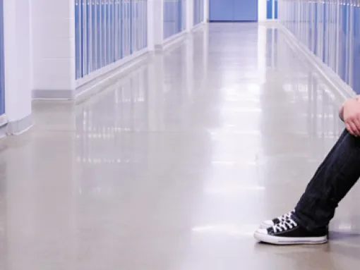 Combating Bullying and Cyber Bullying