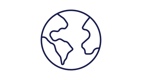 Globe icon
